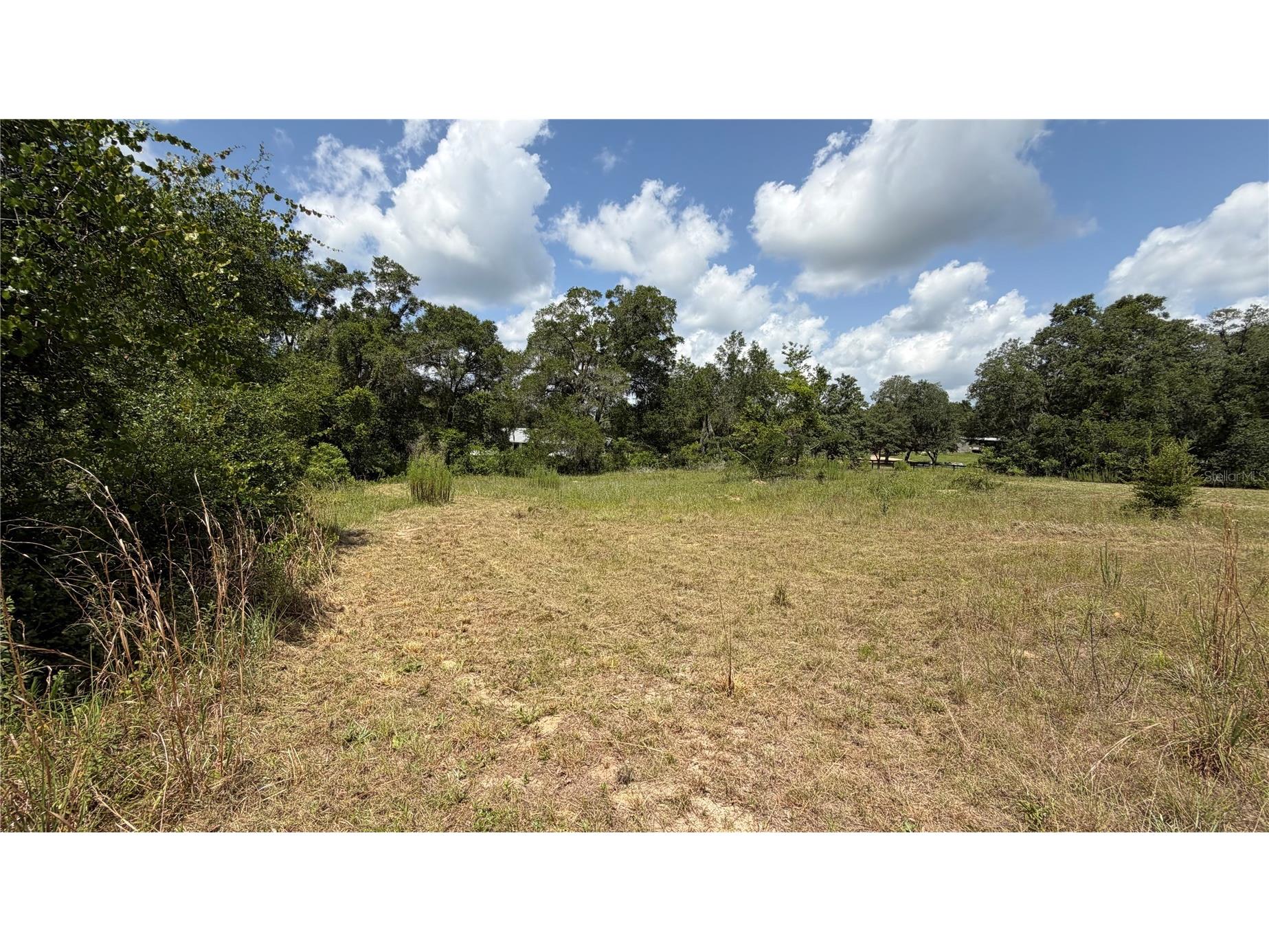 4934 N Tanglewood Avenue Hernando FL 34442 OM728216 image13