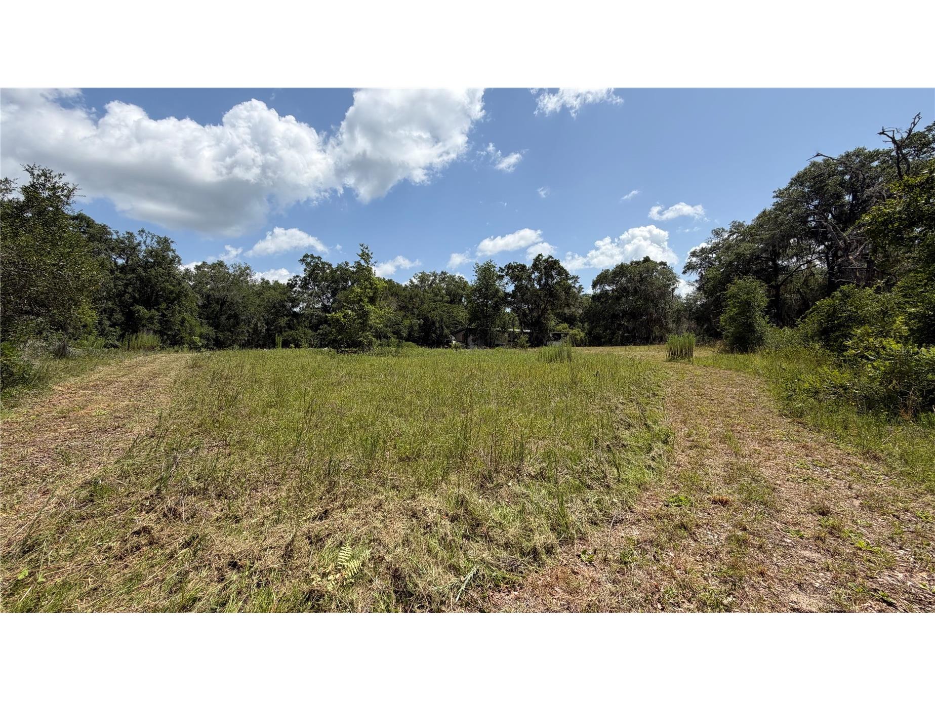 4934 N Tanglewood Avenue Hernando FL 34442 OM728216 image15