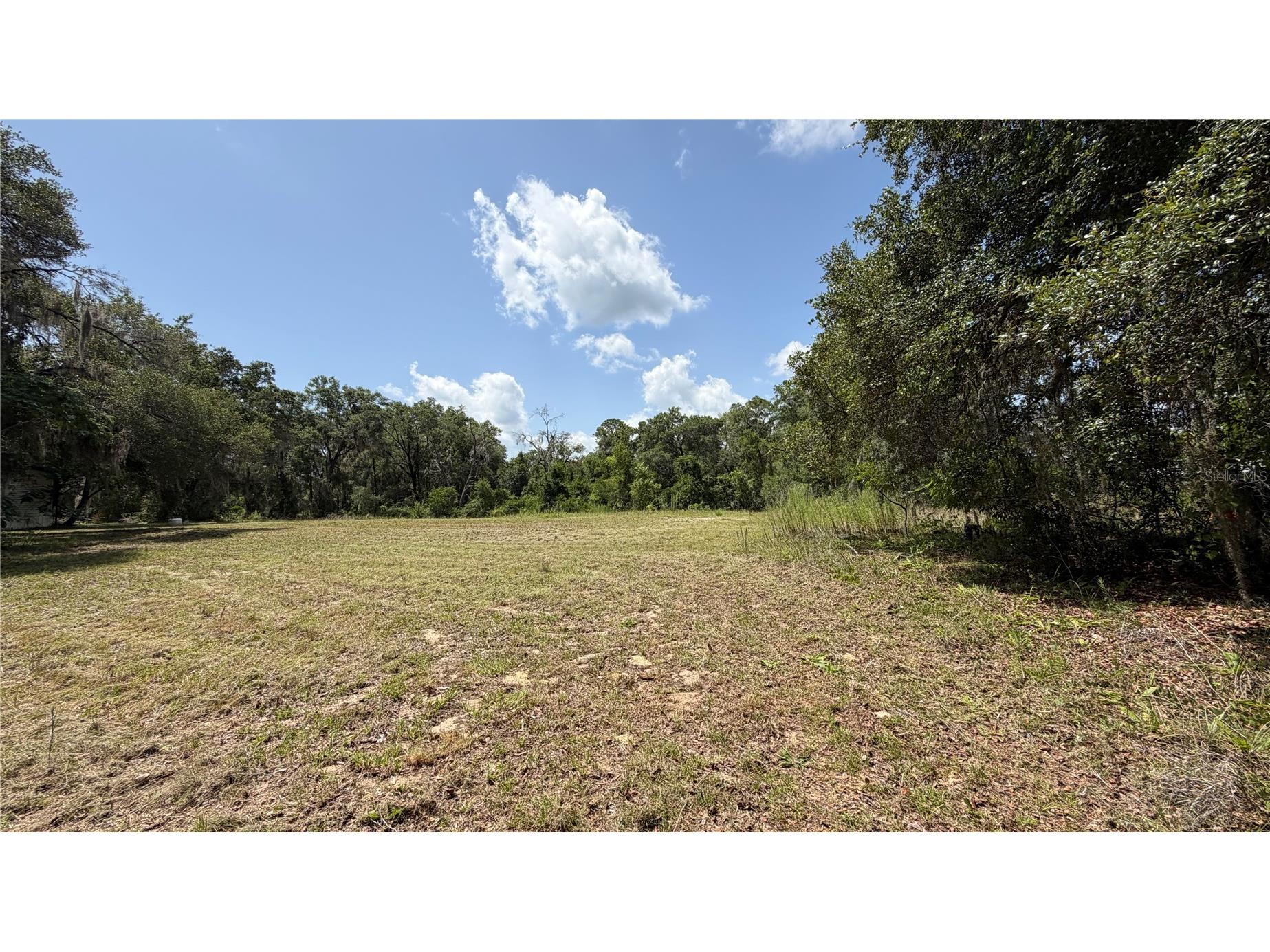 4934 N Tanglewood Avenue Hernando FL 34442 OM728216 image18