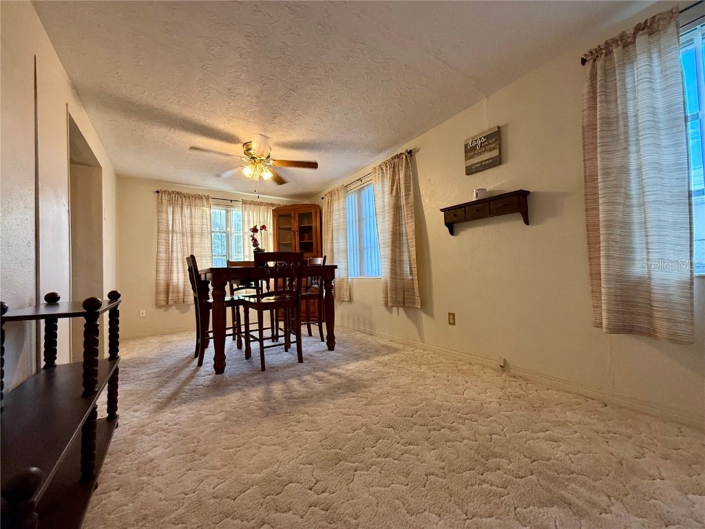 4935 Guardian Avenue Holiday FL 34690 TB8427737 image20