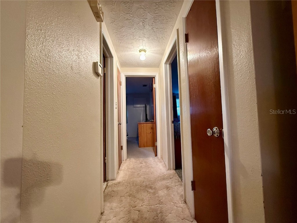 4935 Guardian Avenue Holiday FL 34690 TB8427737 image21