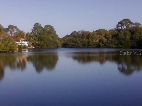 4935 Largo Terrace New Port Richey FL 34652 TB8439348 image3