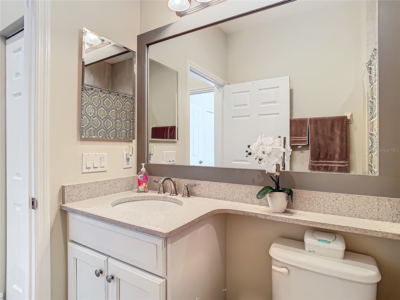 4935 Marble Springs Circle Wimauma FL 33598 TB8531622 image39