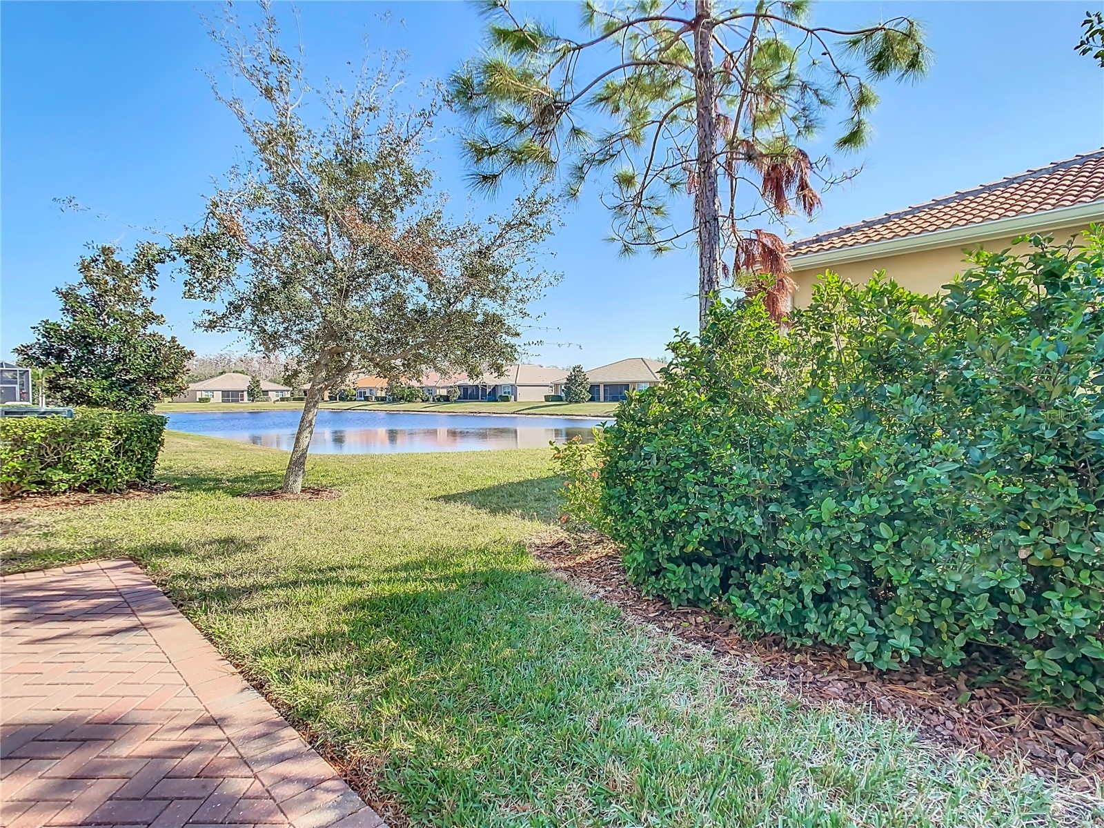 4935 Marble Springs Circle Wimauma FL 33598 TB8531622 image49