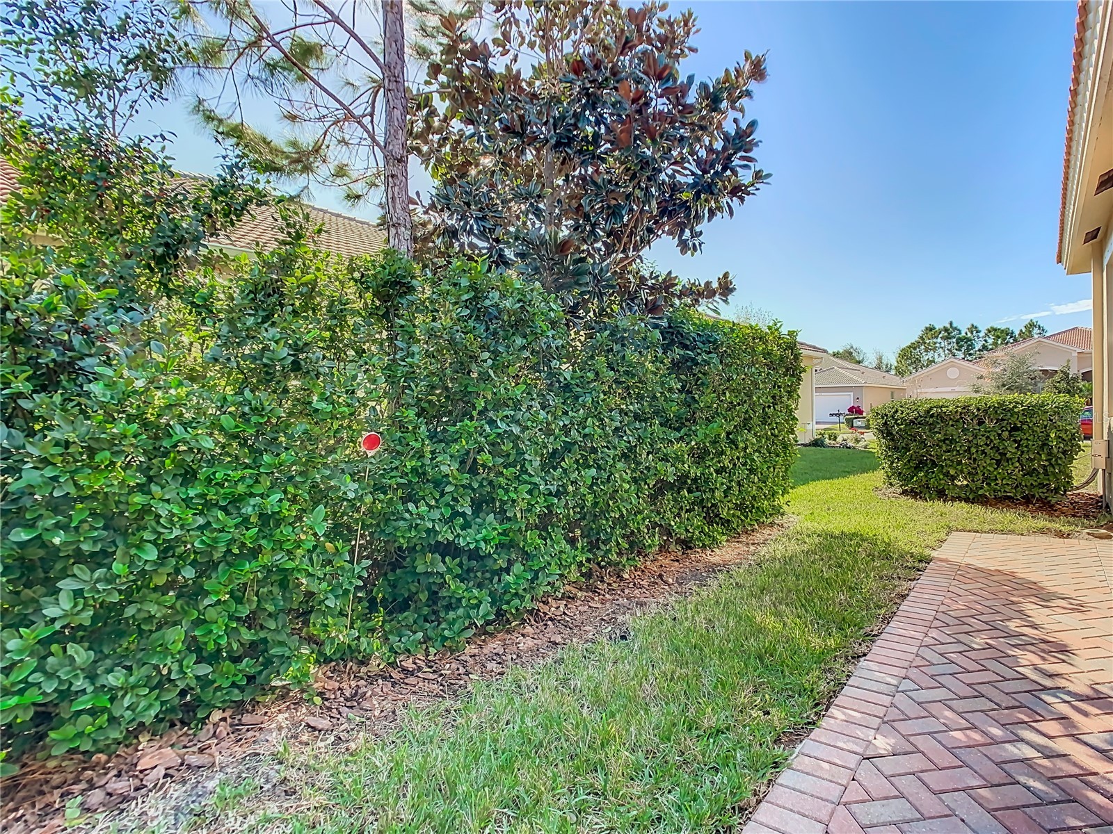 4935 Marble Springs Circle Wimauma FL 33598 TB8531622 image50