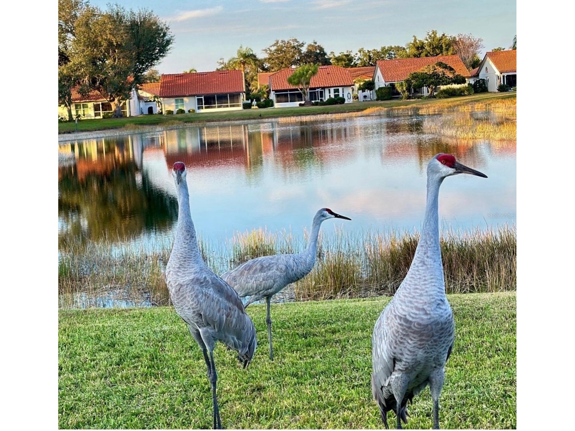 4935 Pepperwood Place Venice FL 34293 N6144209 image37