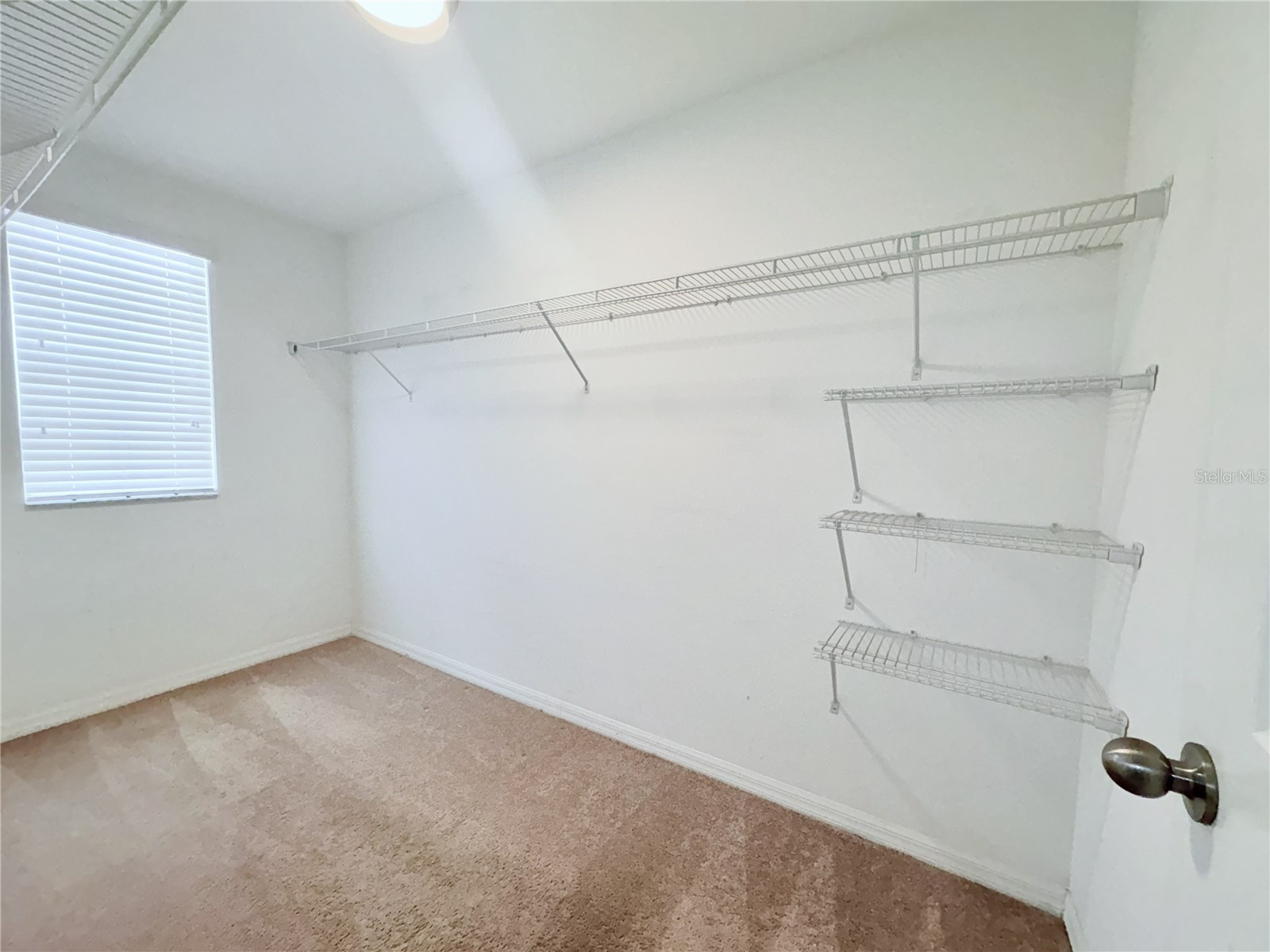 4935 Reflecting Pond Circle Wimauma FL 33598 TB8526804 image23