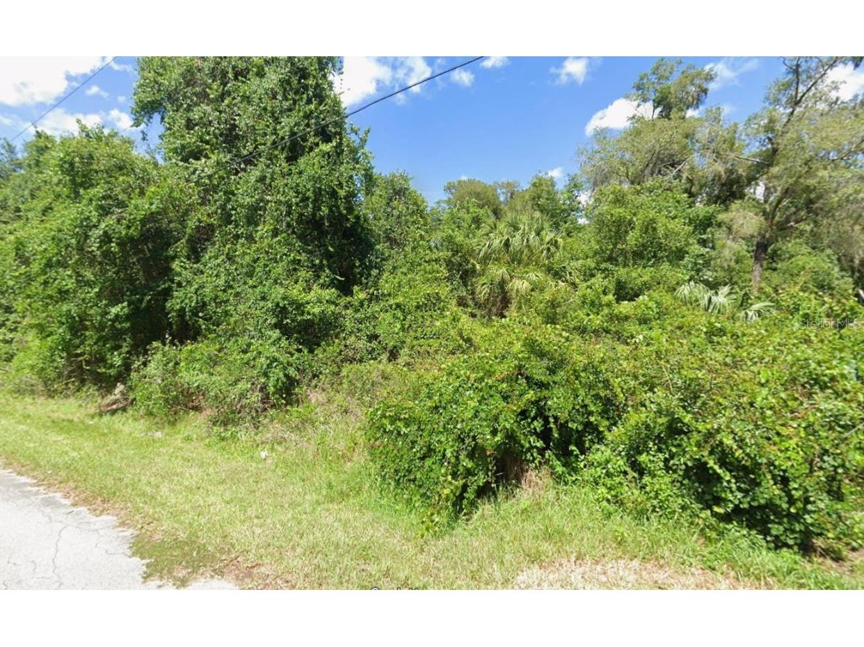 4935 S Romans Avenue Inverness FL 34450 C7515156 image4