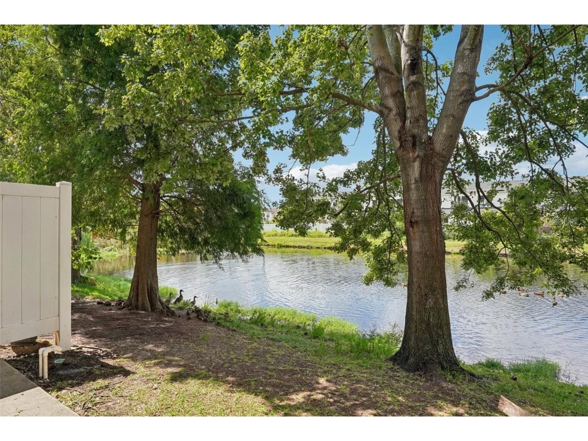 4935 White Sanderling Court Tampa FL 33619 TB8446944 image27