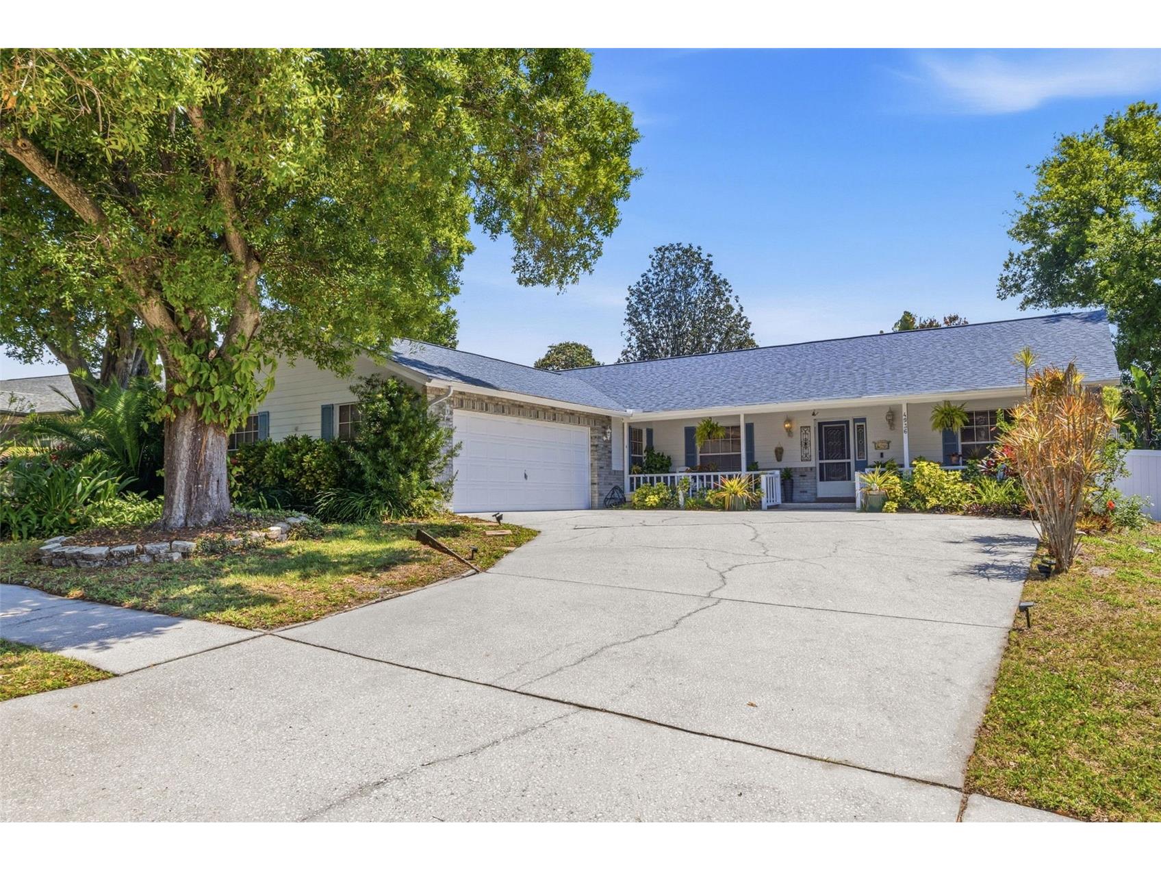 4936 Mineola Place Palm Harbor FL 34684 TB8492336 image1