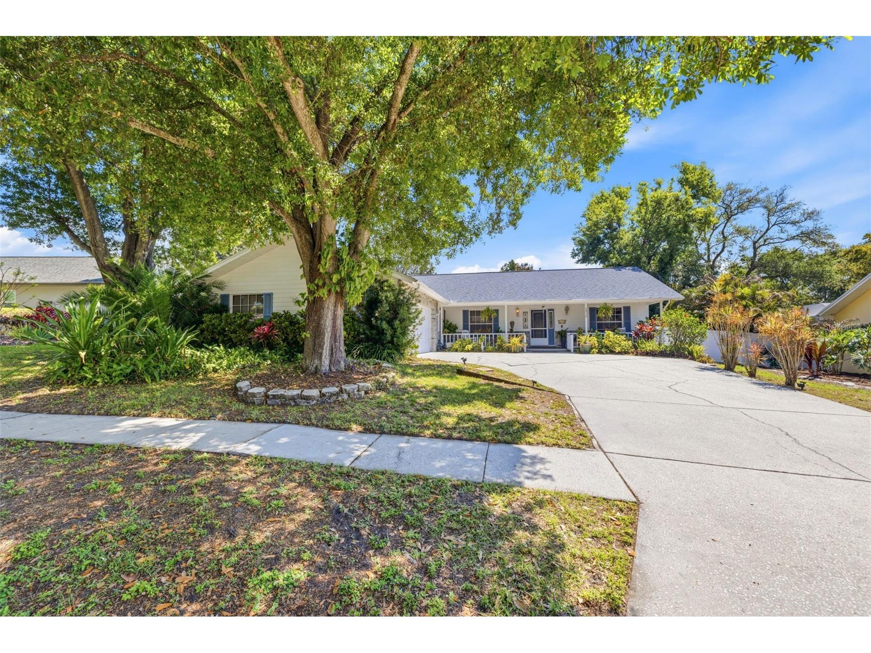 4936 Mineola Place Palm Harbor FL 34684 TB8492336 image2