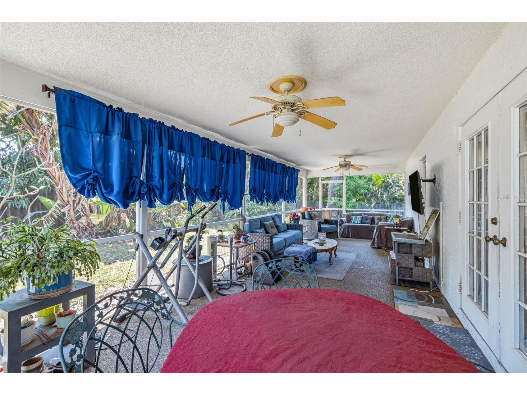 4936 Mineola Place Palm Harbor FL 34684 TB8492336 image27