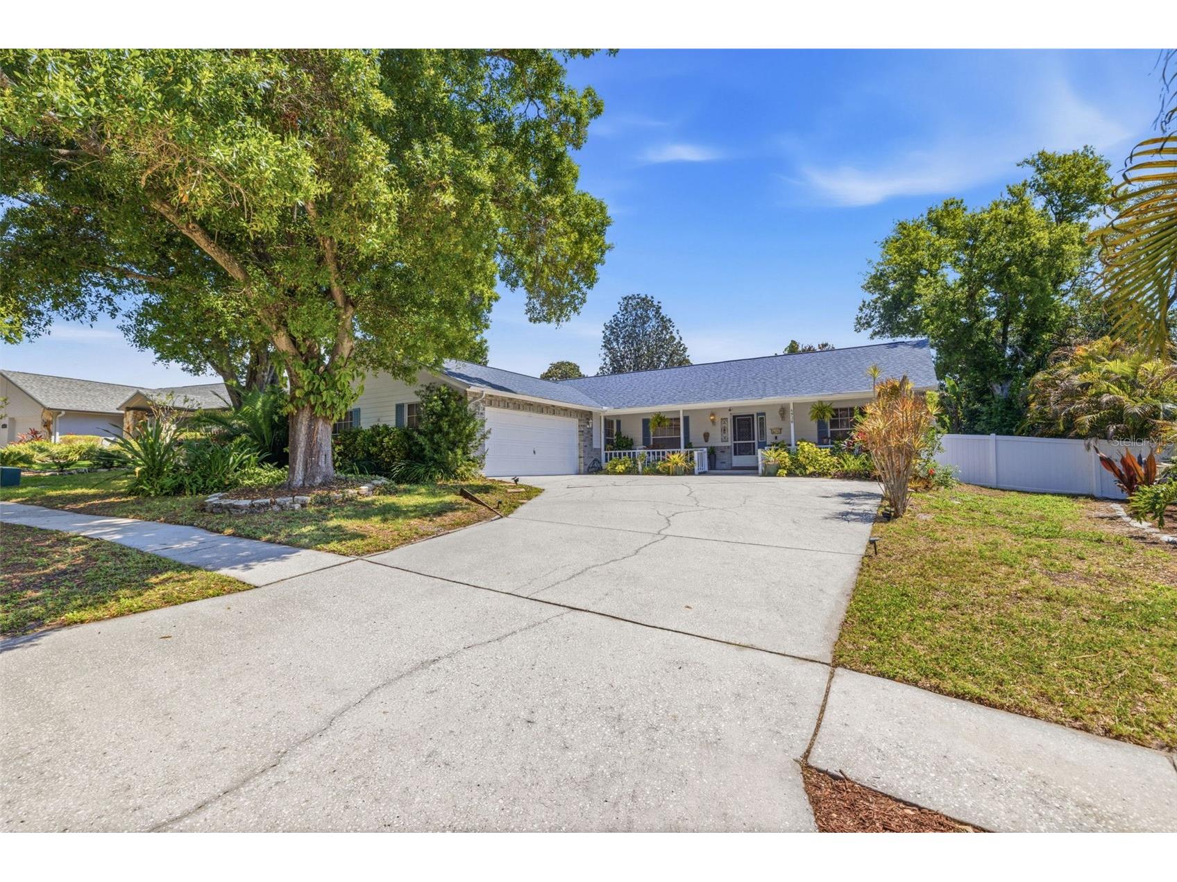 4936 Mineola Place Palm Harbor FL 34684 TB8492336 image3