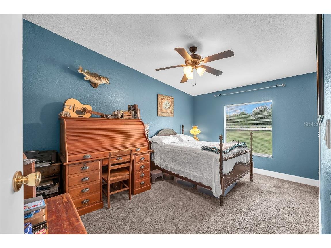 4936 Steve Reeves Lane Plant City FL 33565 A4664223 image27