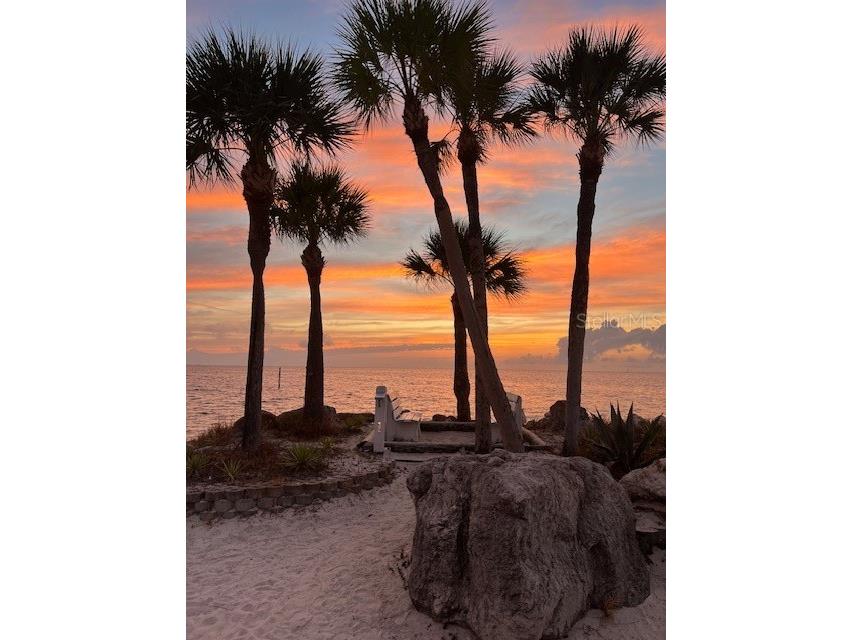 4937 Dory Drive New Port Richey FL 34652 W7875570 image60