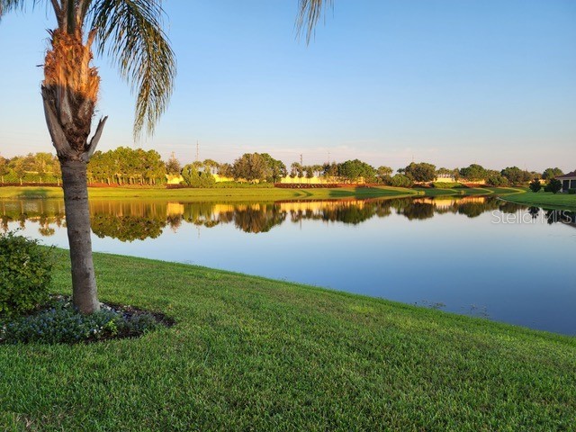 4938 Grand Banks Drive Wimauma FL 33598 TB8429976 image41