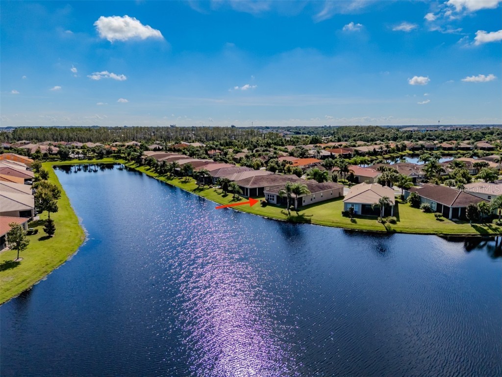 4938 Grand Banks Drive Wimauma FL 33598 TB8429976 image44