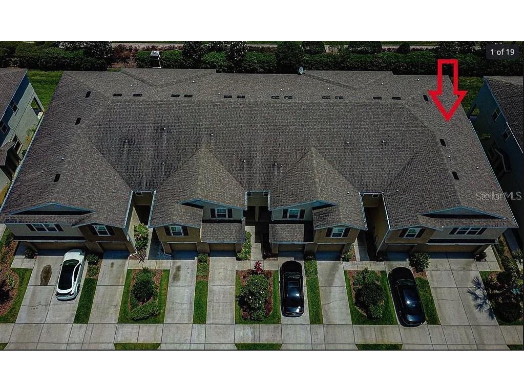 4938 White Sanderling Court Tampa FL 33619 T3552733 image1