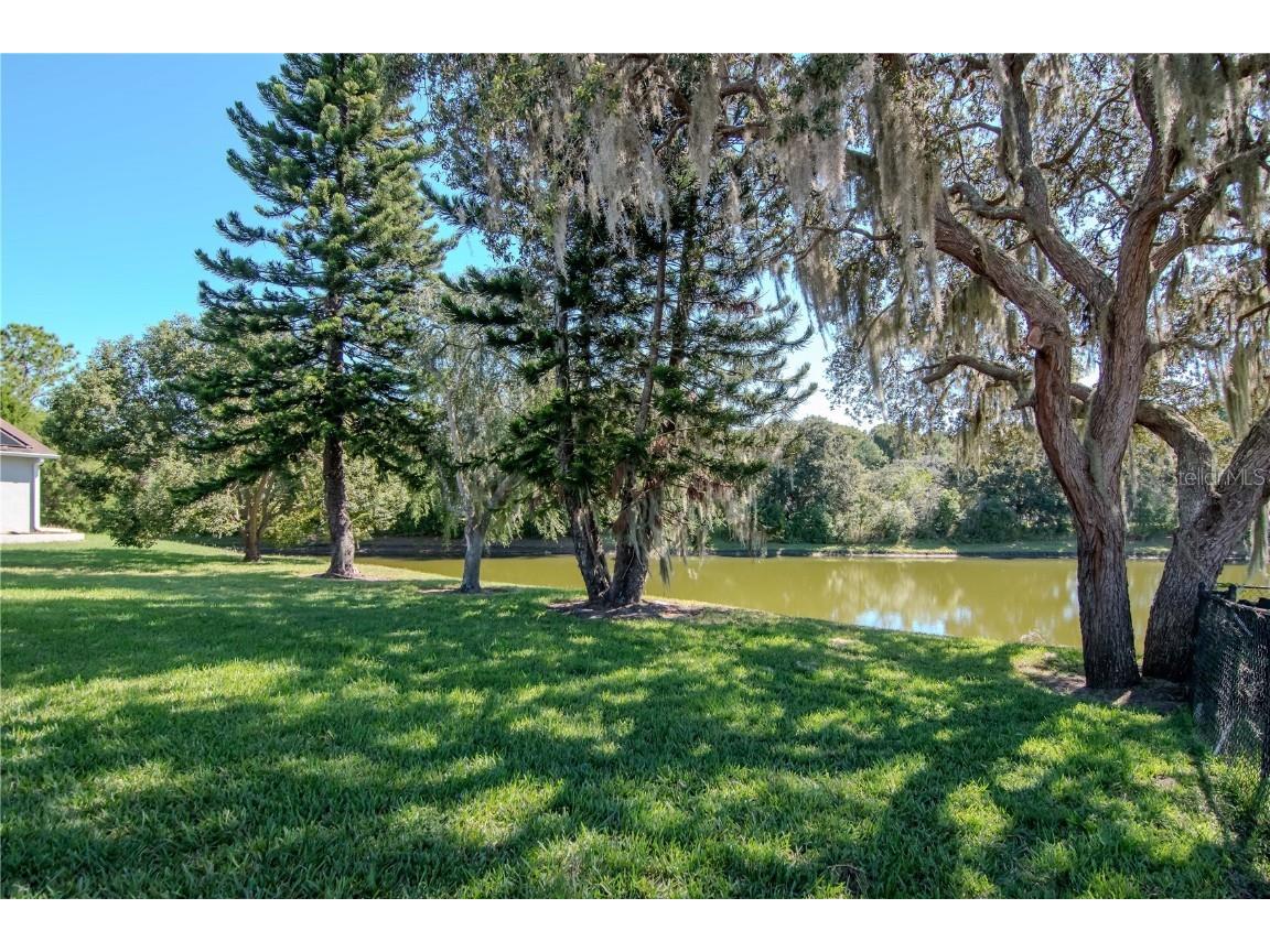 4938 Yellowstone Drive New Port Richey FL 34655 TB8437652 image30