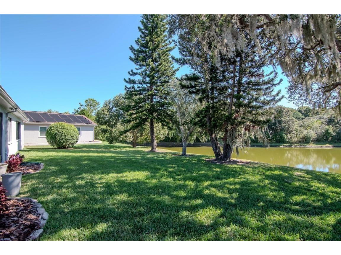 4938 Yellowstone Drive New Port Richey FL 34655 TB8437652 image31