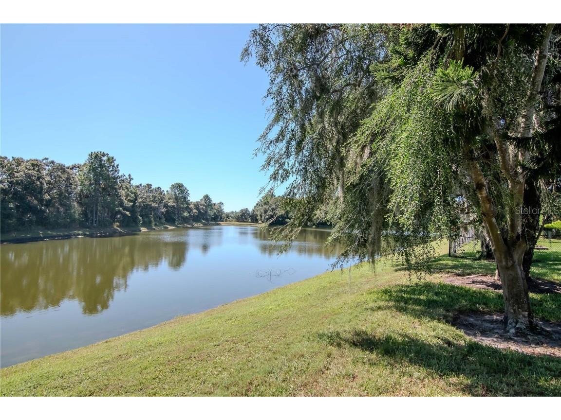 4938 Yellowstone Drive New Port Richey FL 34655 TB8437652 image32