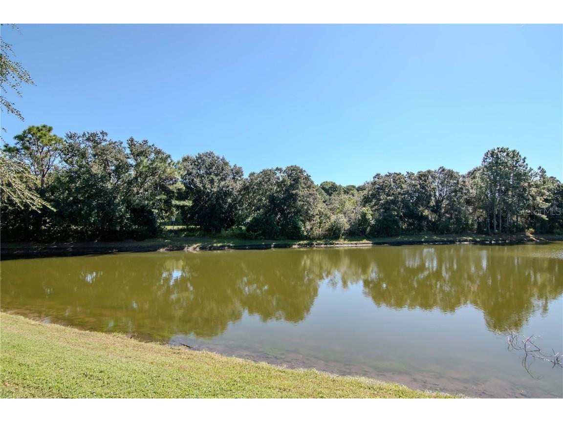 4938 Yellowstone Drive New Port Richey FL 34655 TB8437652 image33