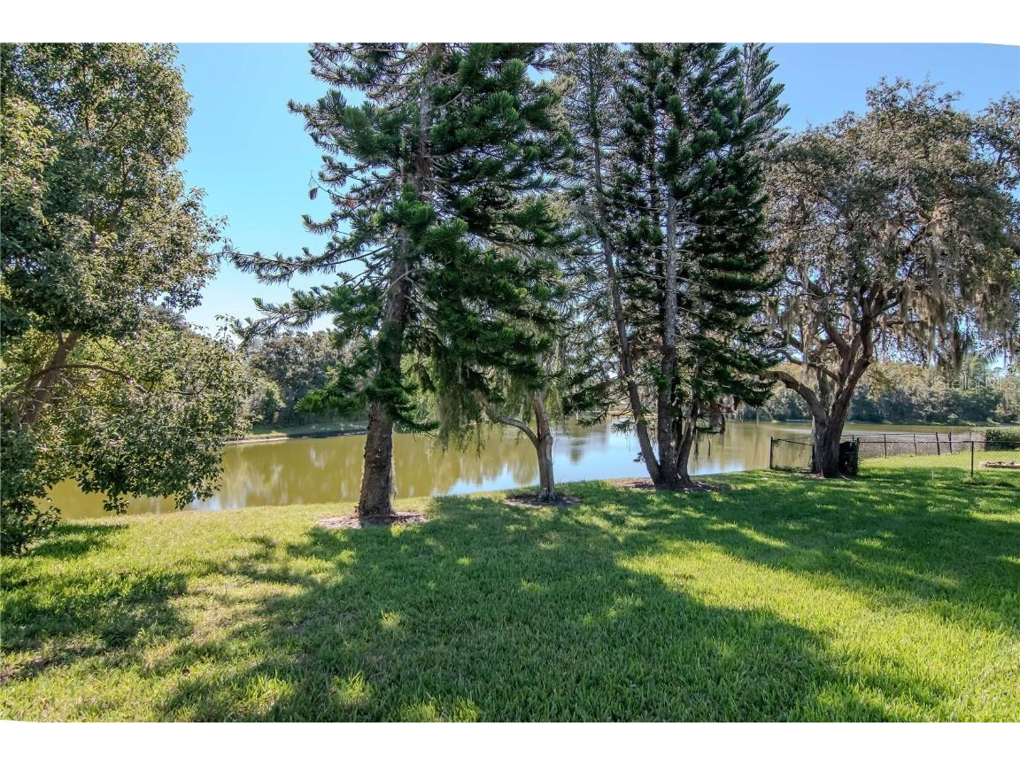 4938 Yellowstone Drive New Port Richey FL 34655 TB8437652 image34