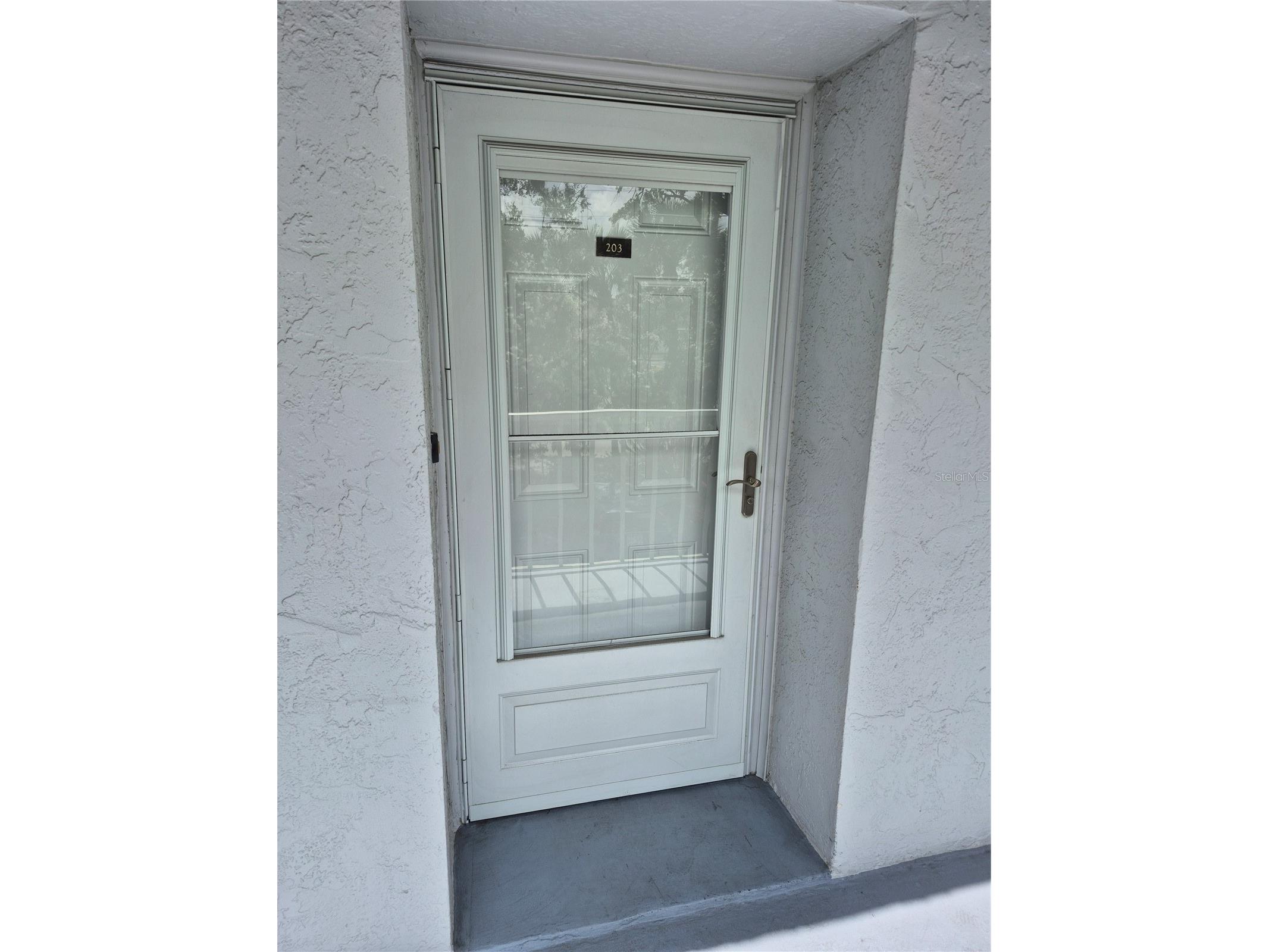 4939 Floramar Terrace #203 New Port Richey FL 34652 TB8503789 image1