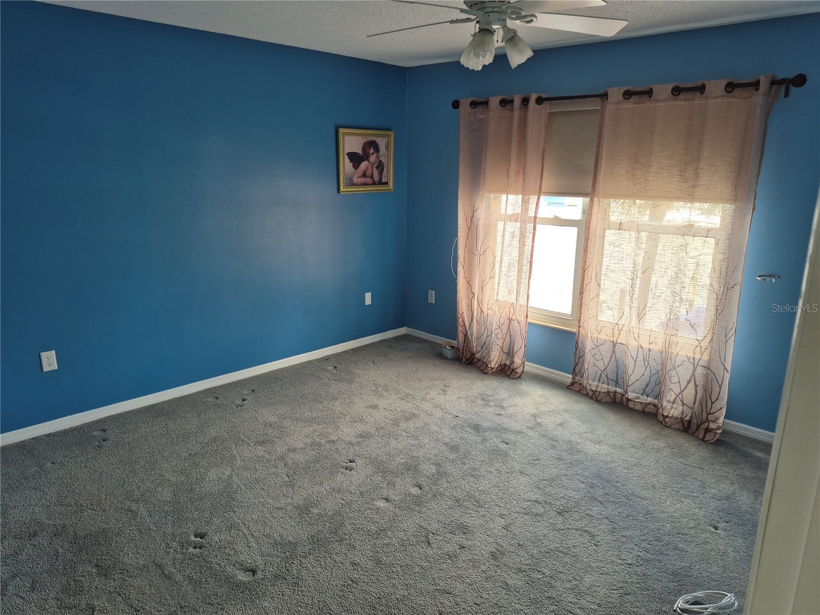 4939 Floramar Terrace #203 New Port Richey FL 34652 TB8503789 image11