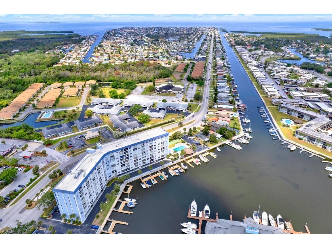 4939 Floramar Terrace #204 New Port Richey FL 34652 - NORTH CHANNEL GULF HARBORS W7875446 image1