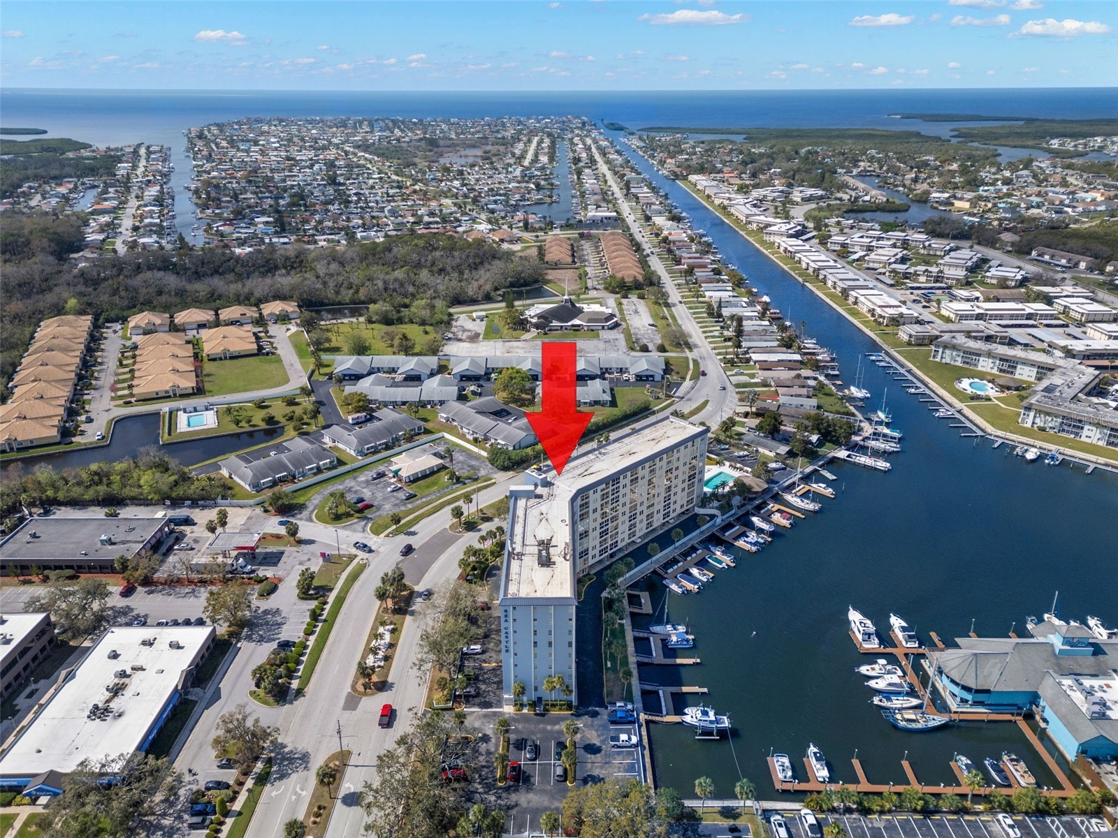 4939 Floramar Terrace #208 New Port Richey FL 34652 TB8457098 image1