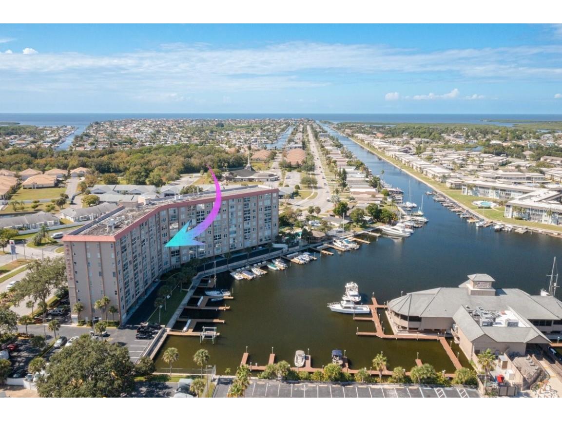 4939 Floramar Terrace #309 New Port Richey FL 34652 U8180251 image1