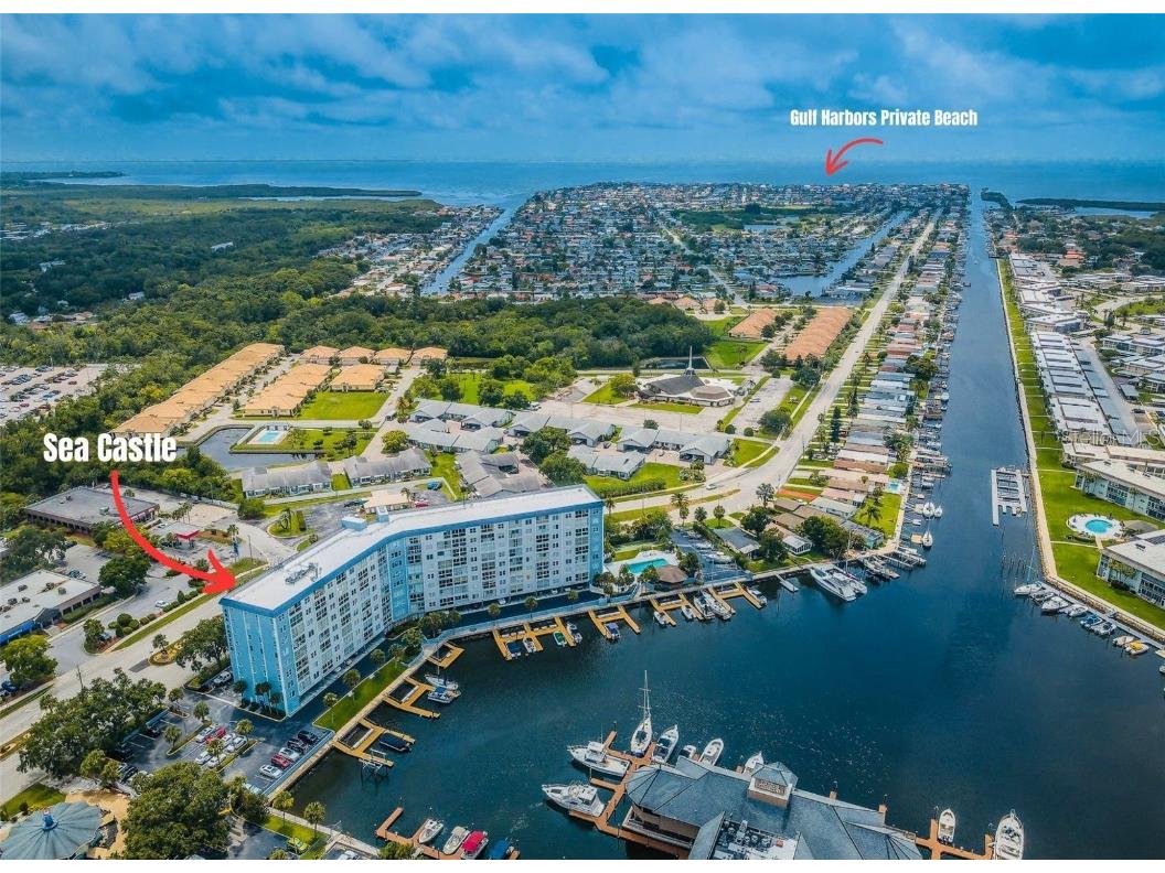 4939 Floramar Terrace #703 New Port Richey FL 34652 T3455277 image1