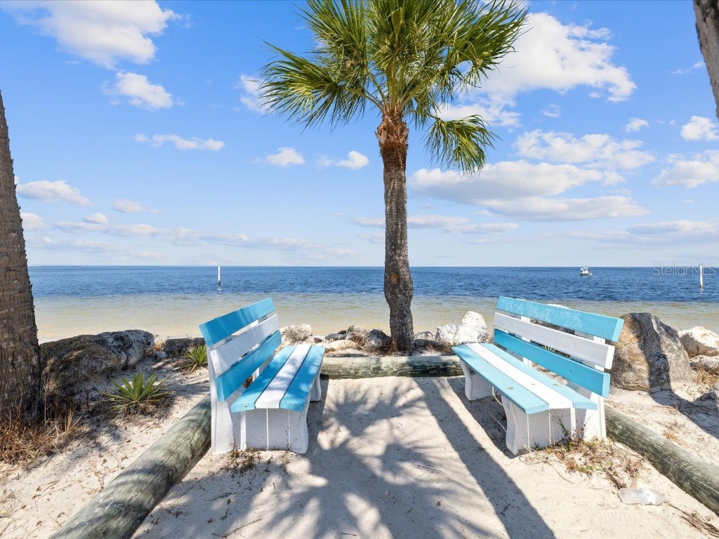 4939 Floramar Terrace #808 New Port Richey FL 34652 W7877583 image42