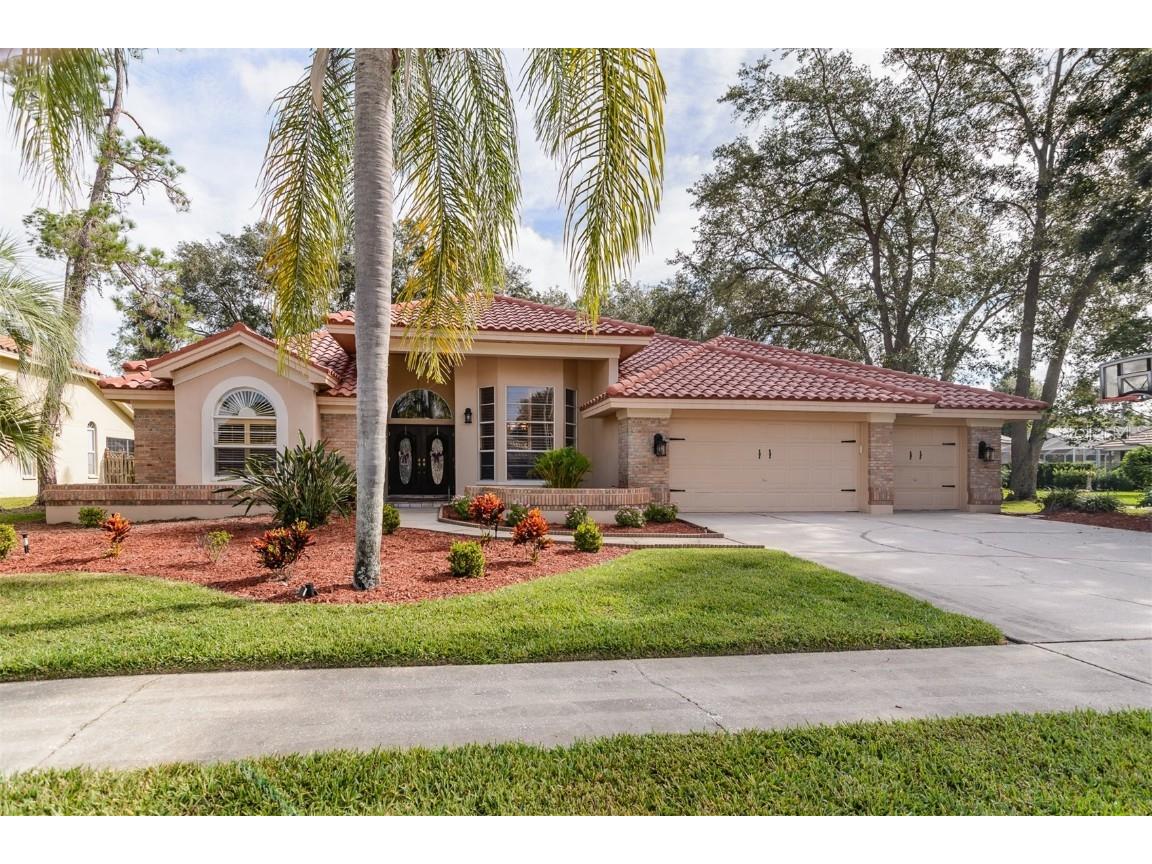 4939 Kilkenney Way Oldsmar FL 34677 W7858690 image1