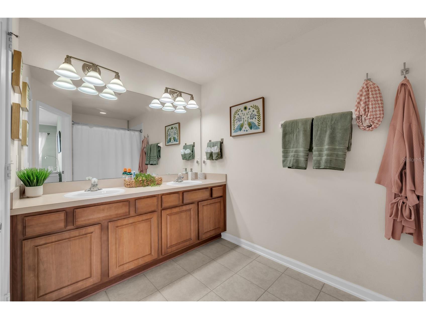 4939 Pond Ridge Drive Riverview FL 33578 O6408376 image18