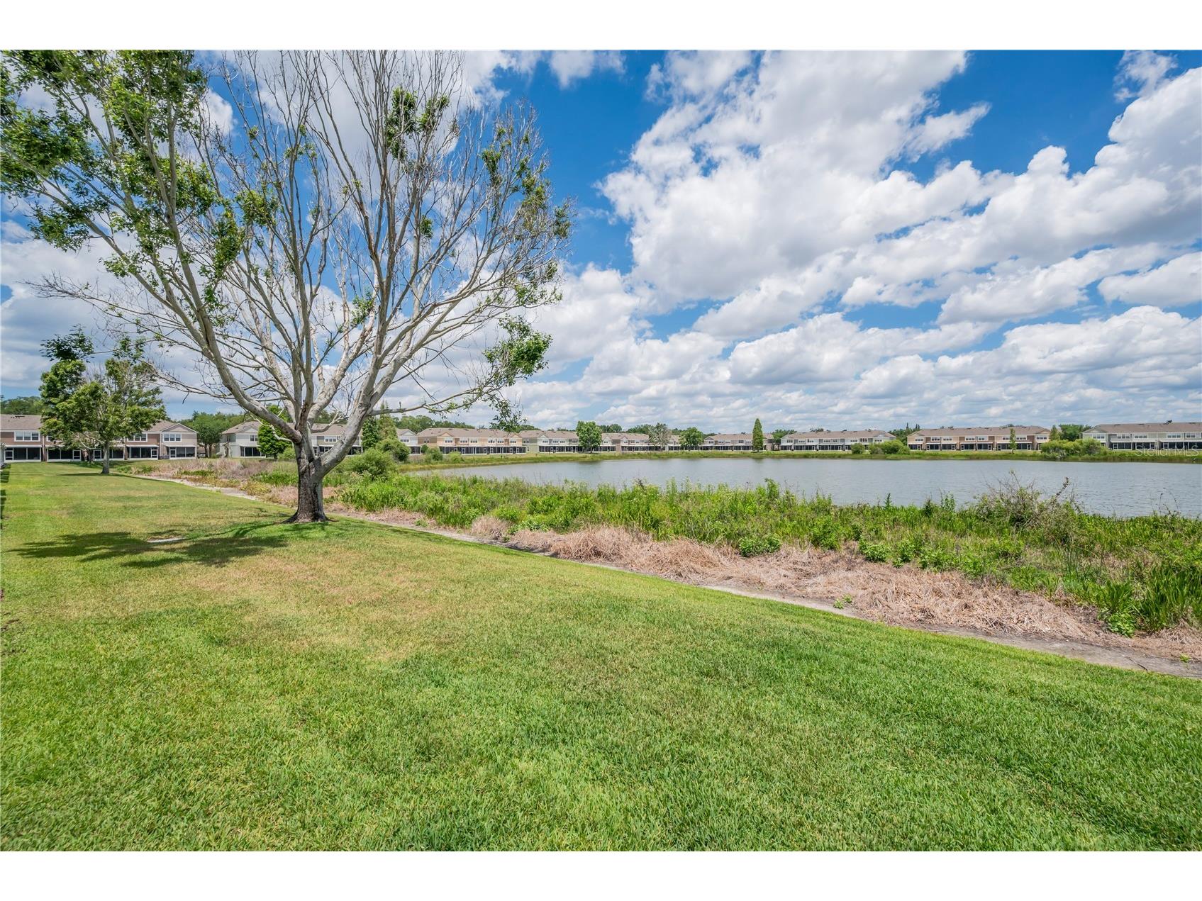 4939 Pond Ridge Drive Riverview FL 33578 O6408376 image4