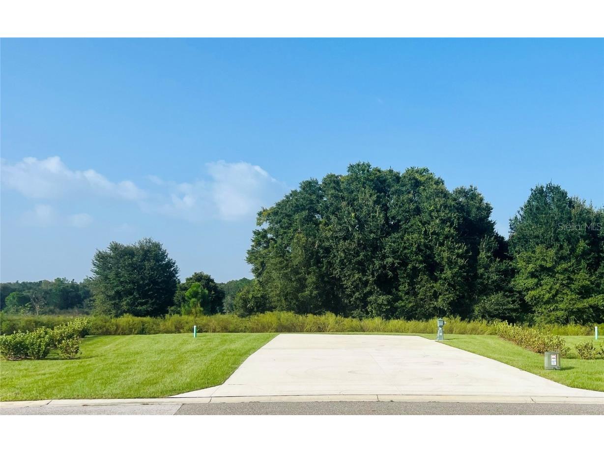 4939 SE 92nd Boulevard Webster FL 33597 G5063884 image1