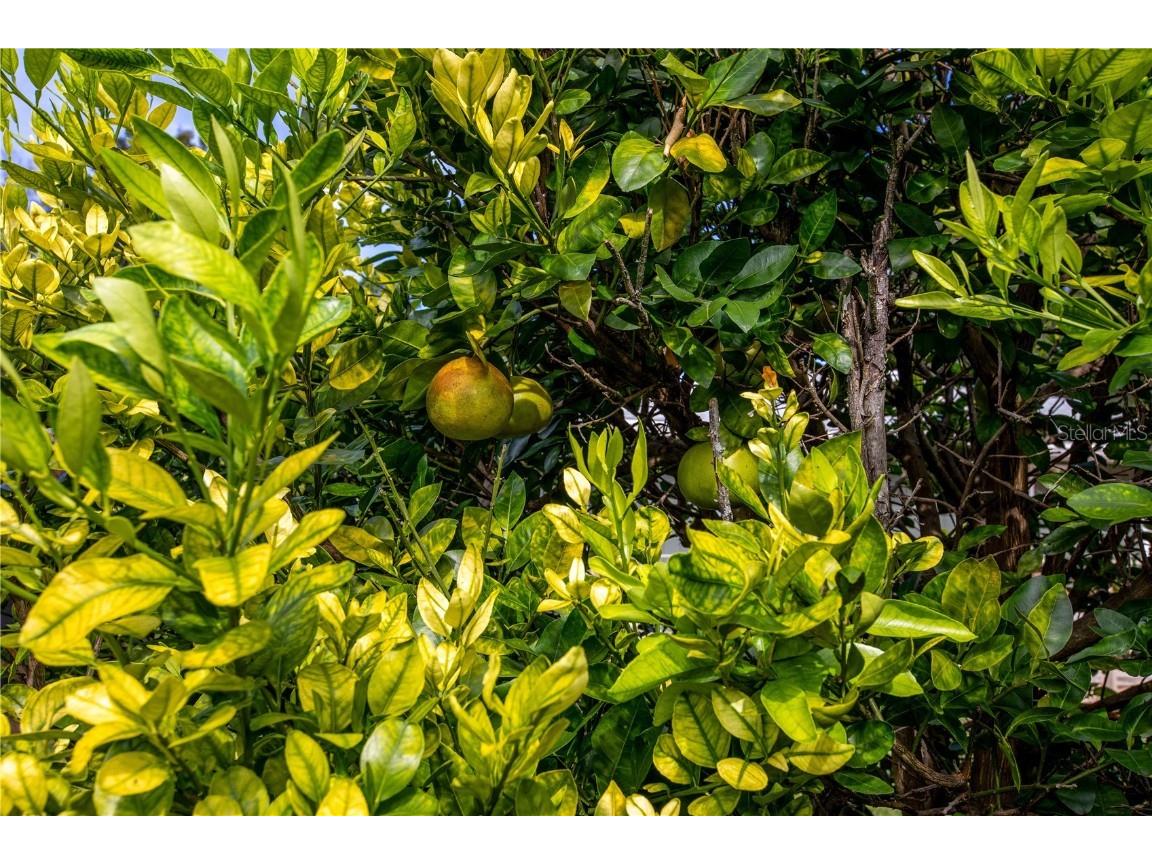 4939 SW 57th Drive Gainesville FL 32608 GC535413 image10