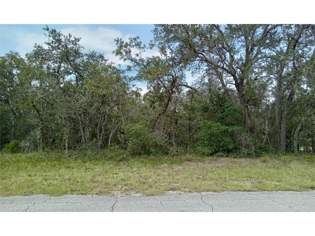 4939 W Deputy Drive Beverly Hills FL 34465 OM675173 image1