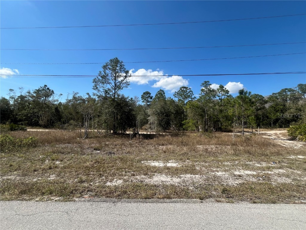 494 Burrstone Drive Lehigh Acres FL 33974 OK224814 image1