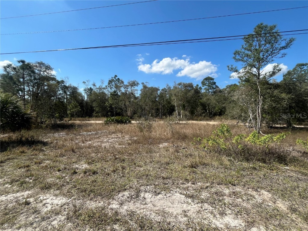 494 Burrstone Drive Lehigh Acres FL 33974 OK224814 image3