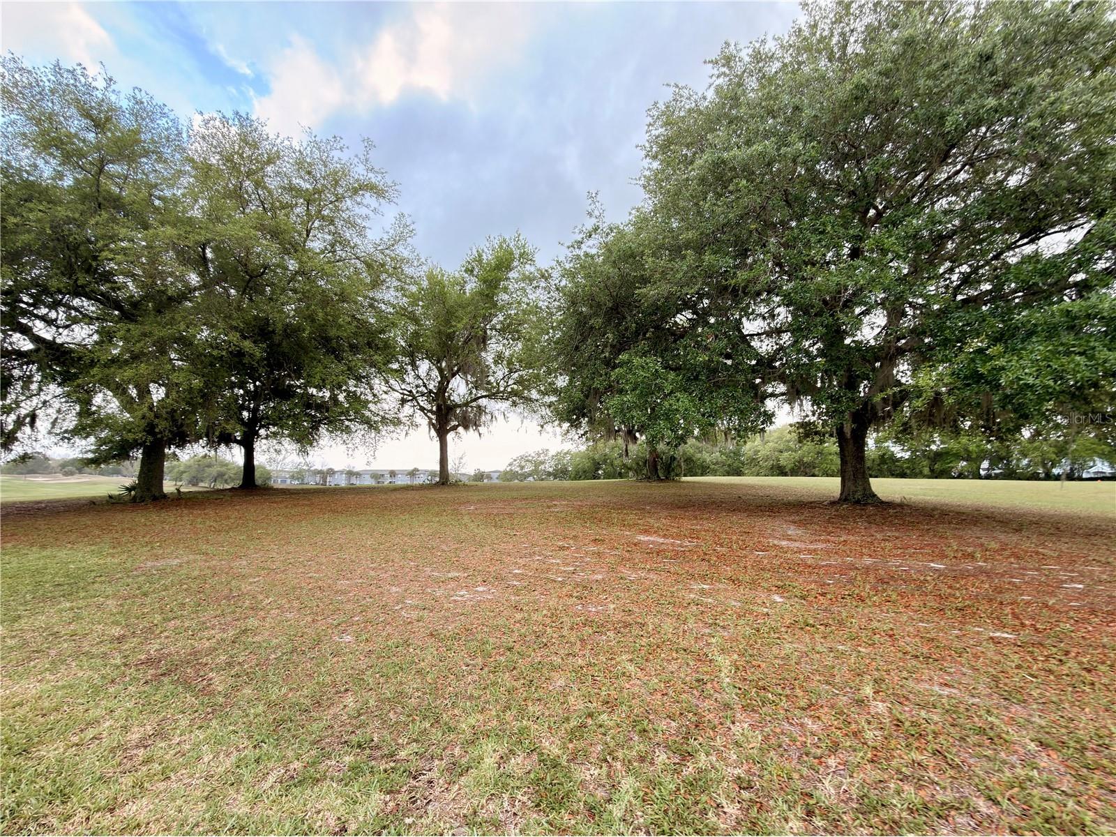 494 Mile Post Court Lake Mary FL 32746 O6401492 image65