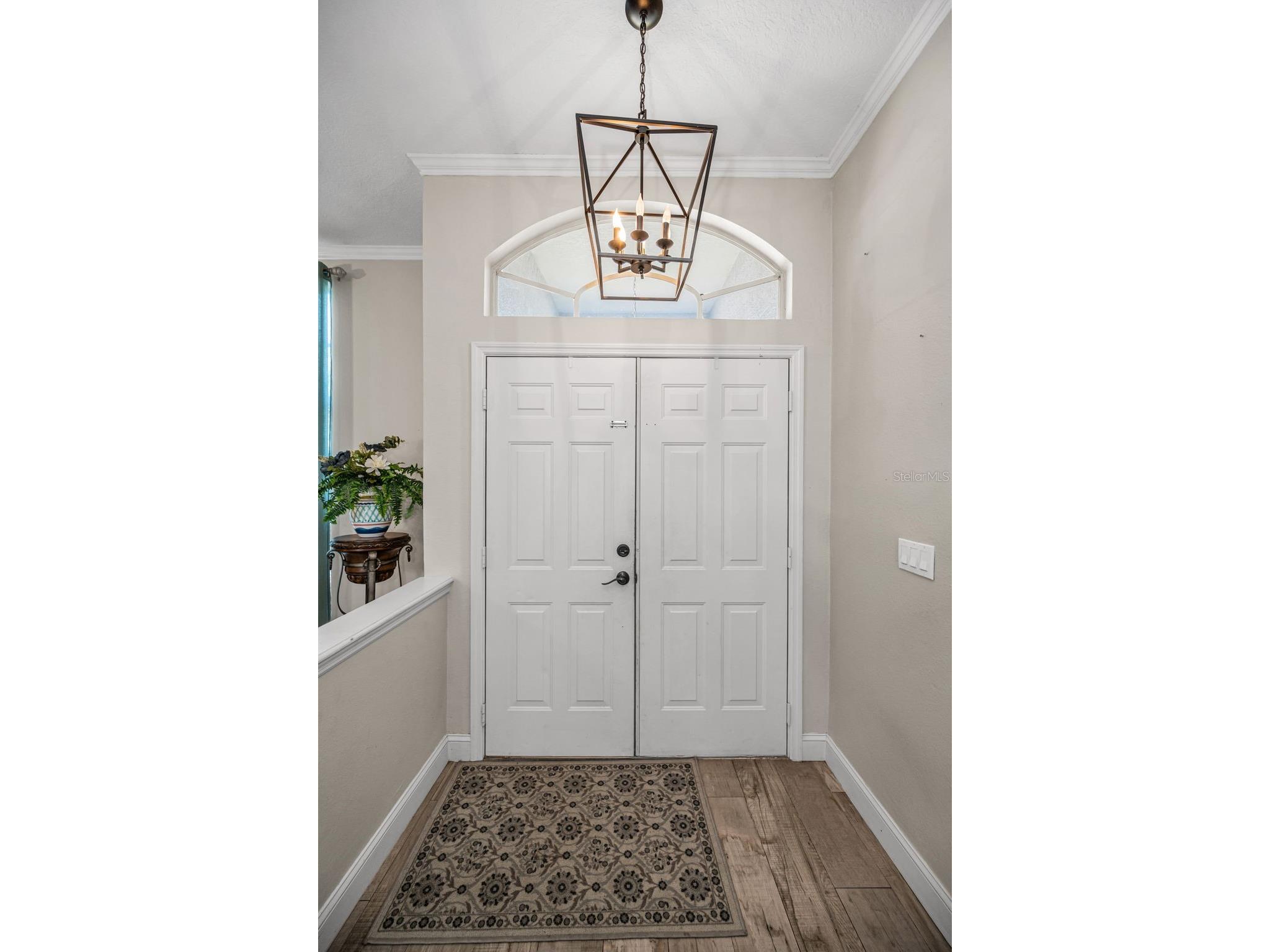 494 Village Drive Tarpon Springs FL 34689 TB8479388 image10