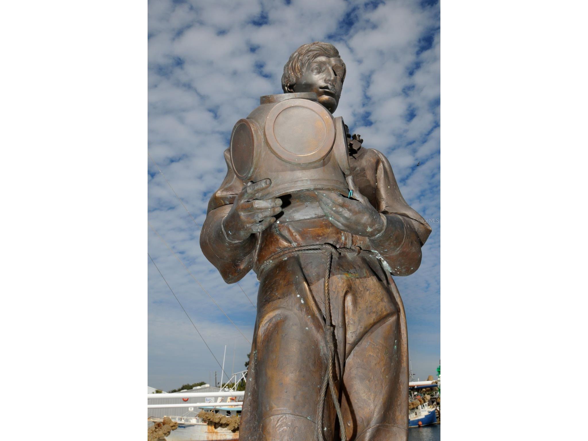 494 Village Drive Tarpon Springs FL 34689 TB8479388 image80