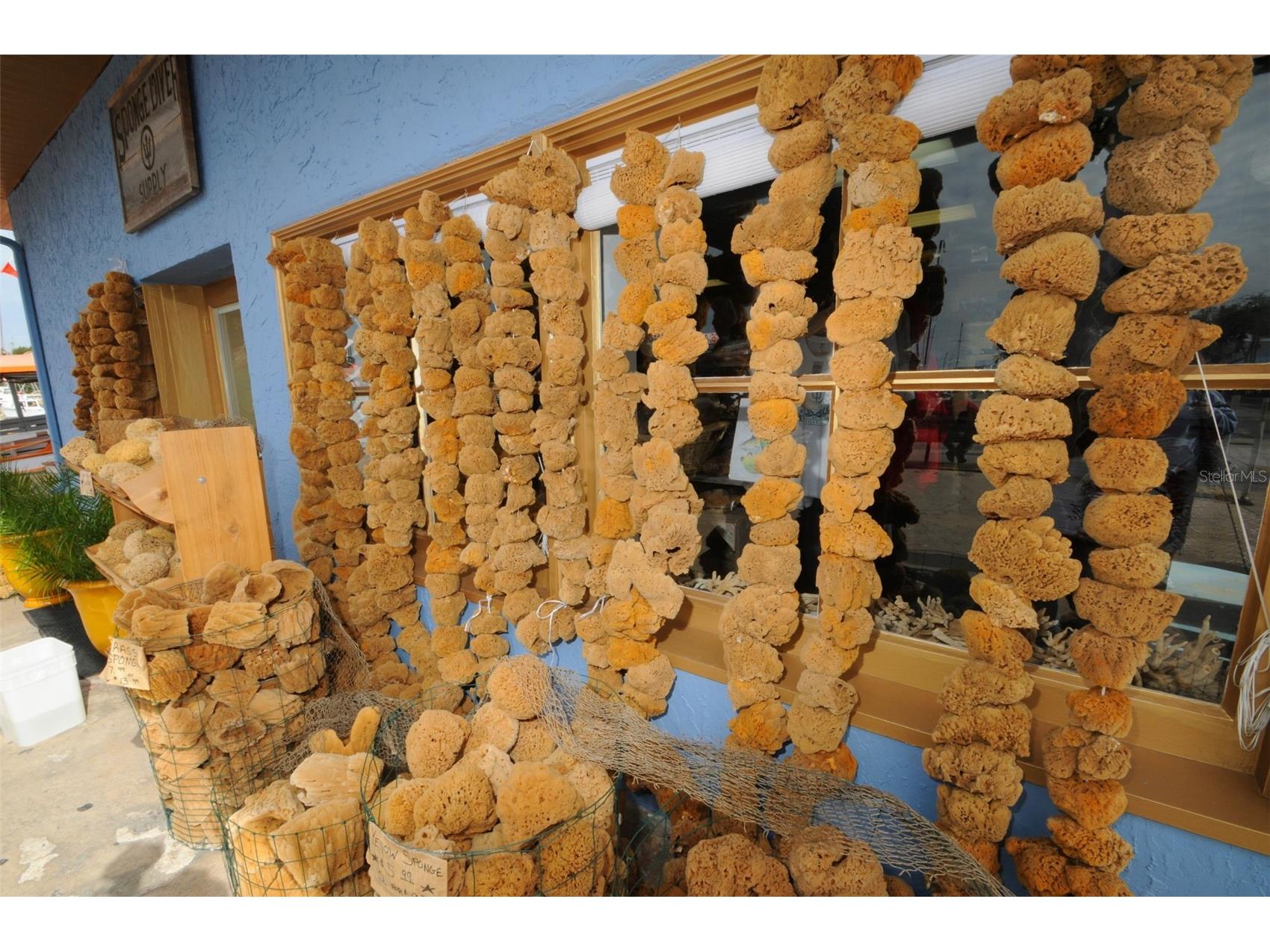 494 Village Drive Tarpon Springs FL 34689 TB8479388 image82