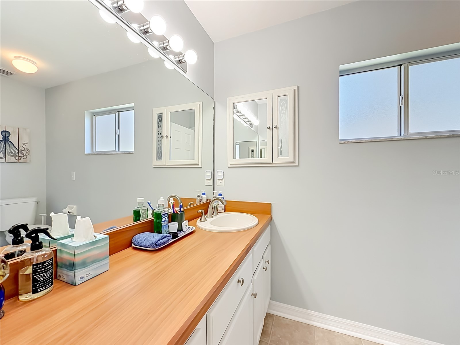 4940 Heron Run Circle Leesburg FL 34748 G5112020 image25