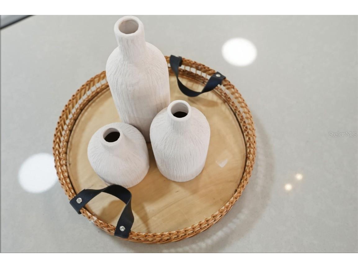 4940 Lakewood Drive Dade City FL 33523 W7881856 image30