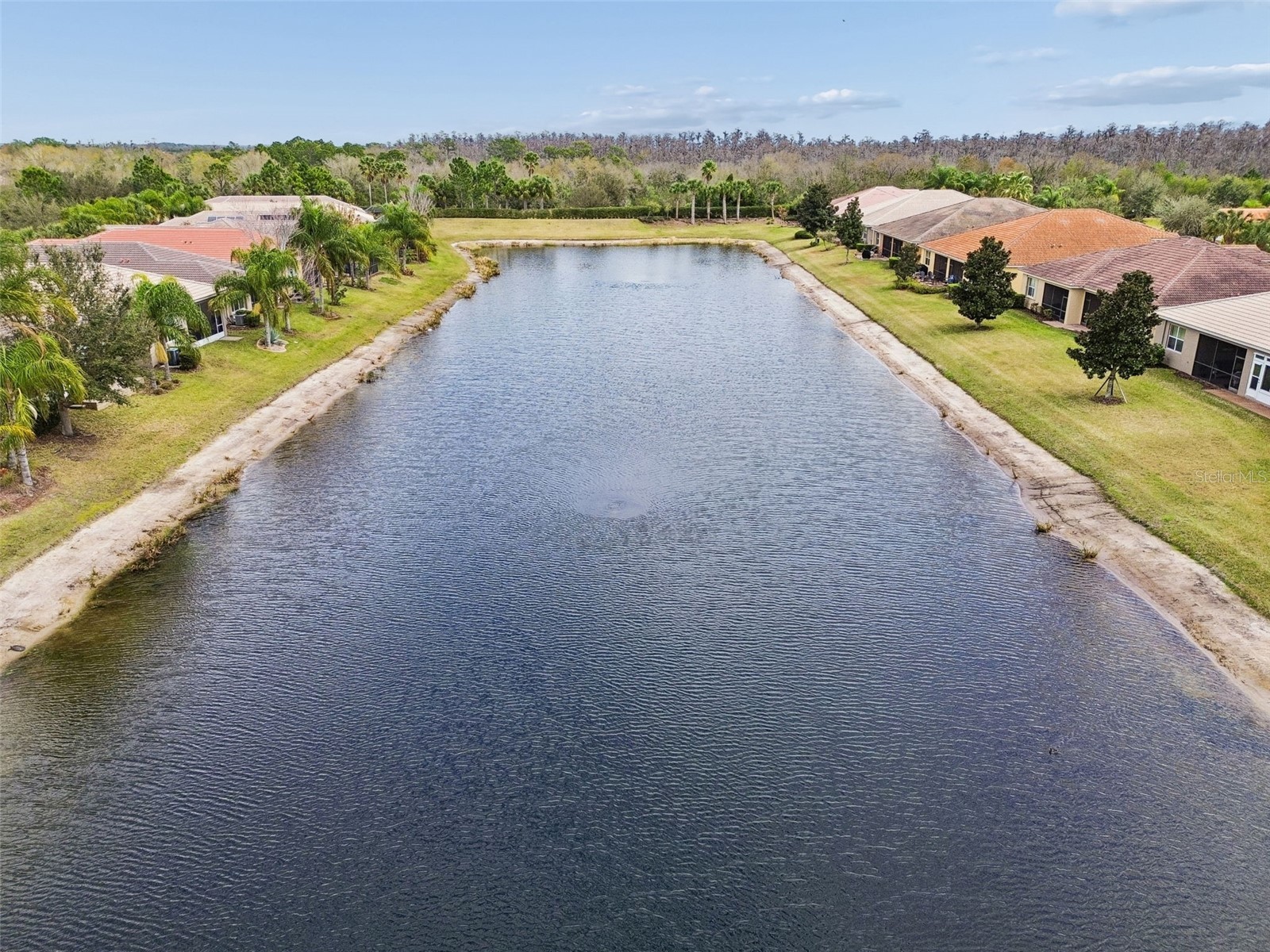 4940 Marble Springs Circle Wimauma FL 33598 TB8483675 image38