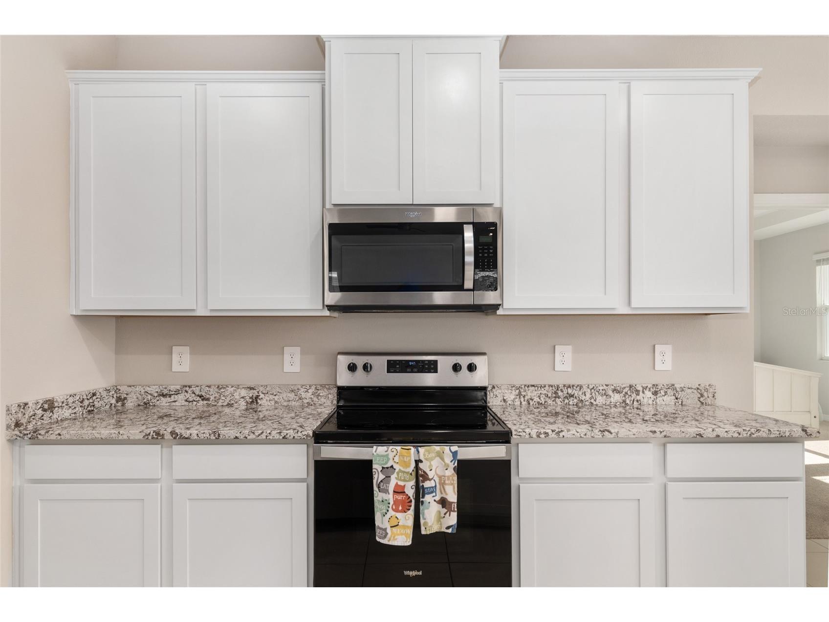 4940 NW 39th Loop Ocala FL 34482 OM720721 image18